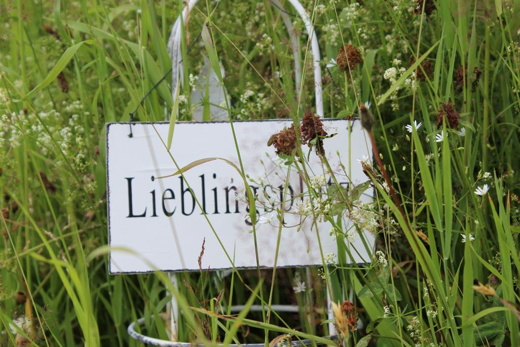 Bergseele Privat- & Retreathotel Schwarzwald 托特瑙贝格 外观 照片